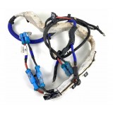 Chicote Da Bateria Evoque P300 2020 Original