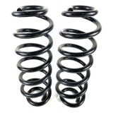 Par Molas Traseiro Tiguan 350 R-line 2019 Original-usado